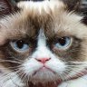 PussInBoots71