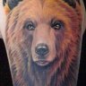 thebear66