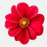 aajmalik75
