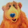 DiabeticBear