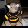 kernowprickles