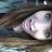 paigewilli96