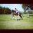 bethlou11