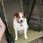 Human_8nimal