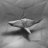 Joao_Rosa