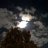 Twilightowl
