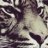TopCat_999