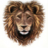 LIONHEART-_-