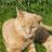 MillieT
