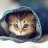 AuditKitty
