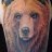 thebear66