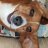 Mr Doggy