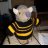 kernowprickles