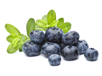 Bilberries may help to treat retinopathy