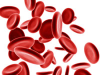 Postprandial plasma glucose tests are taken 2 hours after a meal