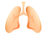 CFRD is often treated with insulin