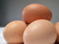 Eggs are high in protein