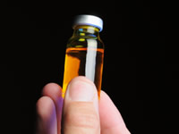 Animal insulin comes from pigs or cows