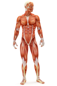 People with diabetes have an increased risk of osteoporosis