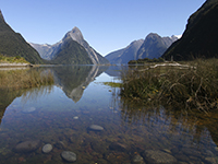 New Zealand is full of endless beauty