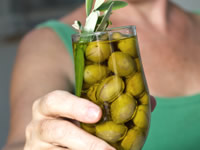 Olive oil is a key component of the Mediterranean Diet