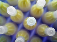 Basal bolus involves injections at each meal