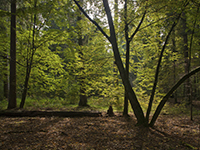 Poland is home to many natural and historical attractions