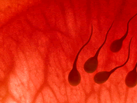 Diabetes can affect the mind as well as the body