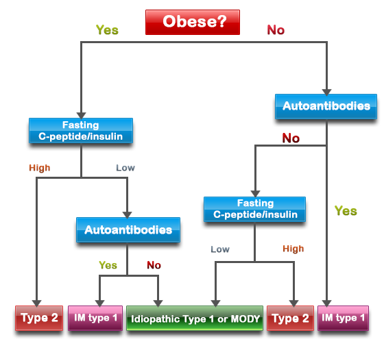Types Of Diabetes Chart