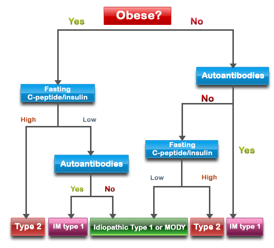 tests to differentiate type 1 and 2 diabetes)