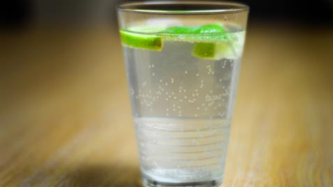 Lime Juice and Soda
