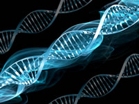 Type 2 diabetes can have many causes, including genetics and aging.