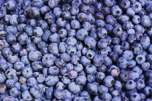 Blueberry carbohydrate