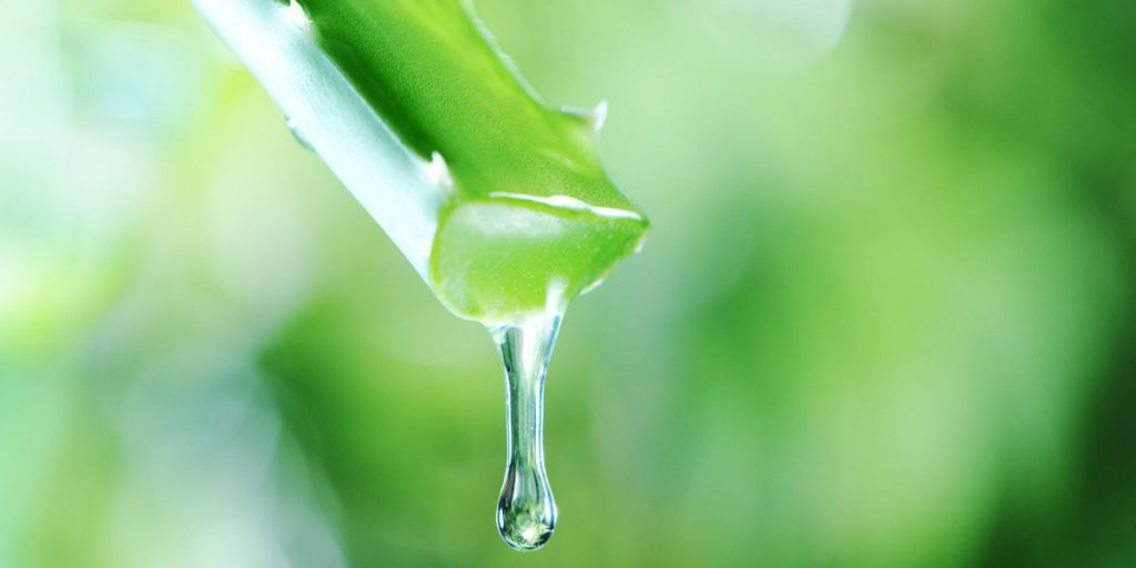 Aloe Vera Effect on Blood Glucose & Health Benefits