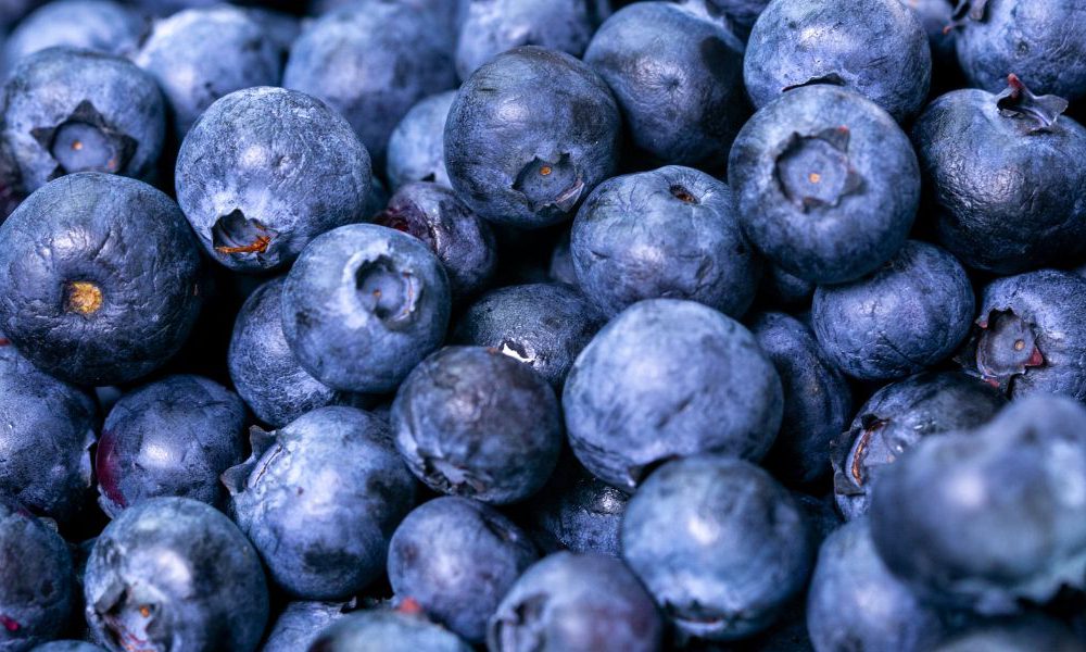 Blueberry Smoothie for Diabetics