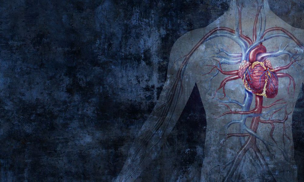 Circulatory System and Diabetes Circulatory System and Diabetes