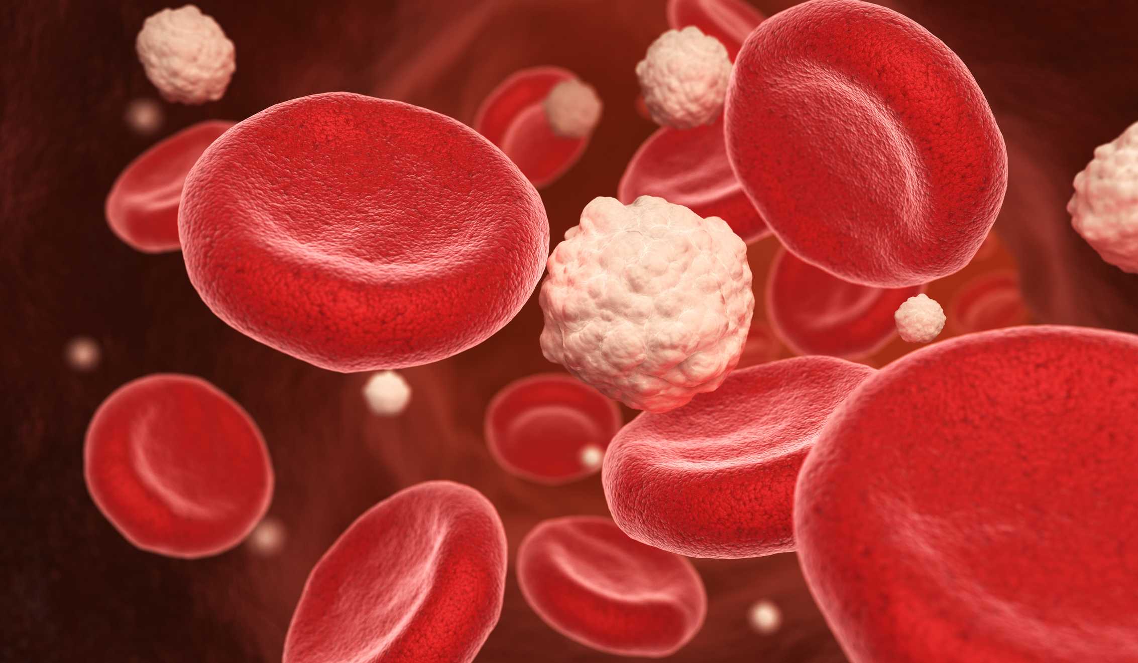 Normal Blood Sugar Levels Chart