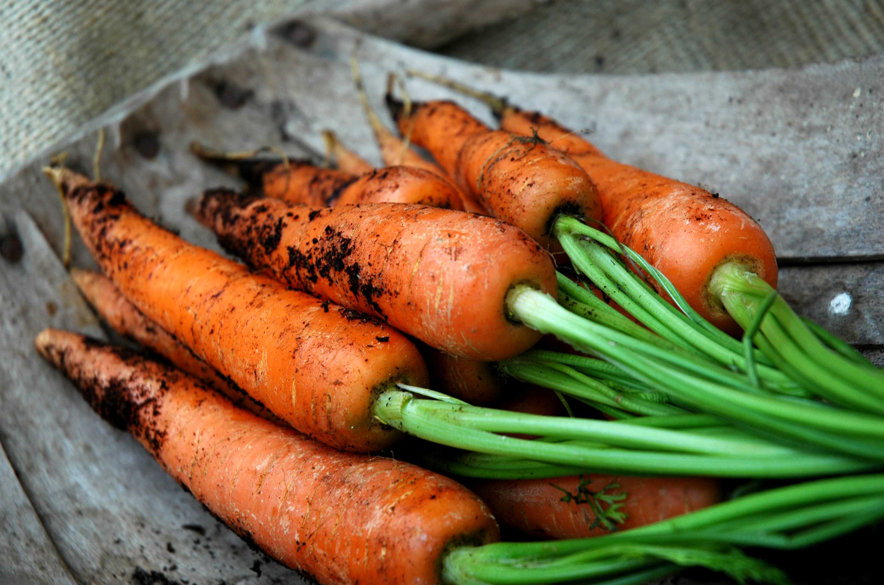 Carrots with Ginger for Diabetics