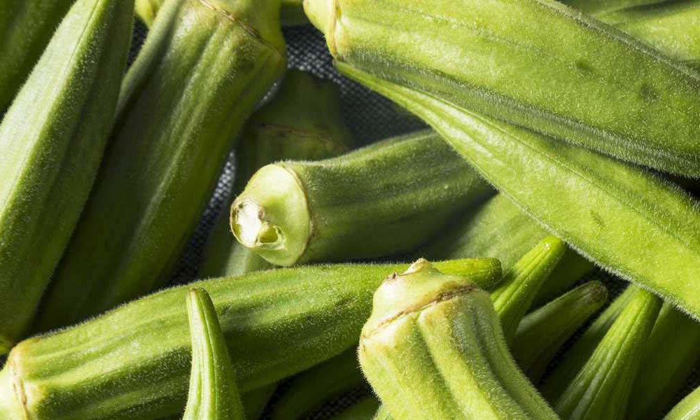 Okra and Diabetes Effect on Blood Glucose, Health Benefits
