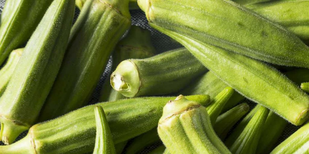 Okra and Diabetes Effect on Blood Glucose, Health Benefits