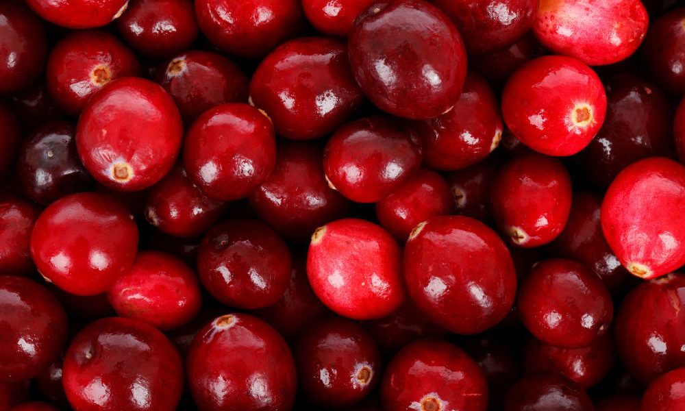 Apple and Cranberry Turnovers for diabetics