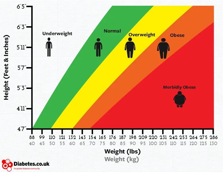 BMI Calculator Check Your Body Mass Index BMI