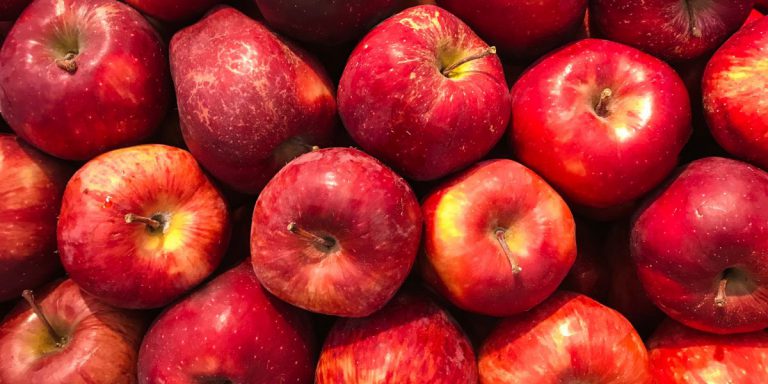 Bread Pudding Recipe for Diabetics