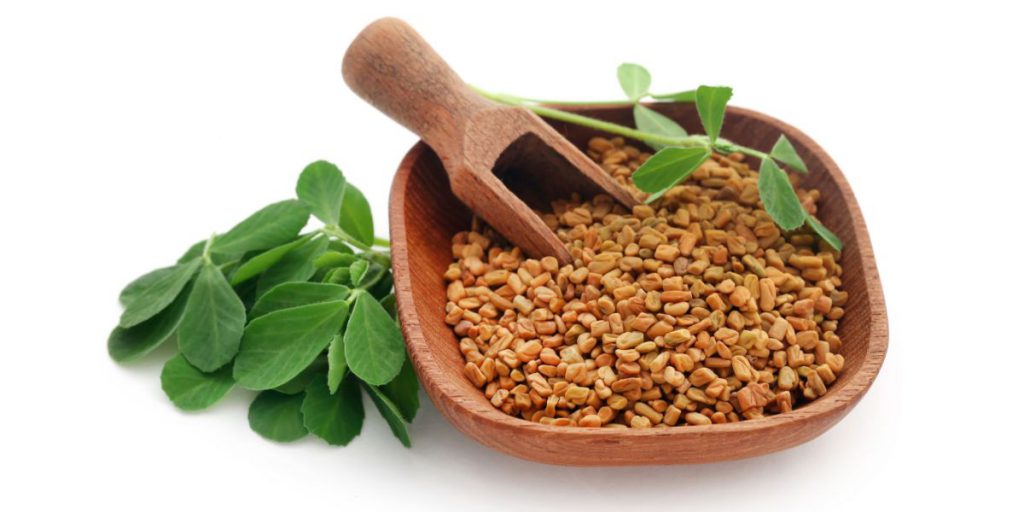 Fenugreek Blood Sugar Levels Effects & Metabolism