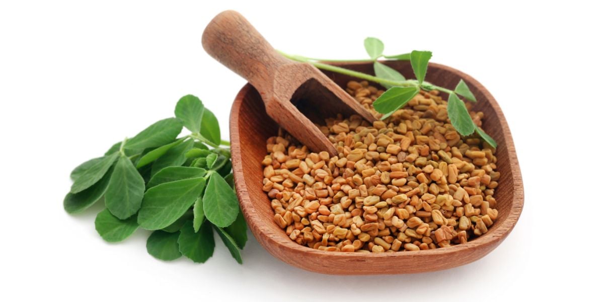 10 Incredible Health And Beauty Benefits Of Methi Seeds Or Fenugreek Seeds